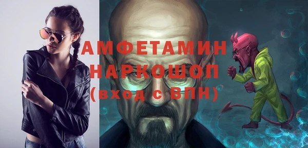 индика Снежногорск