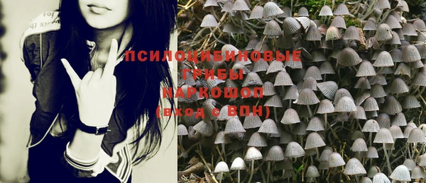 apvp Алексеевка
