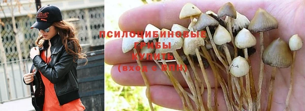 apvp Алексеевка