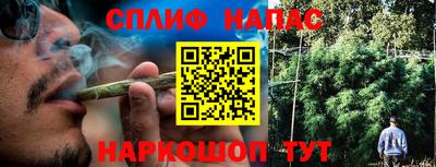 СК Коммунар